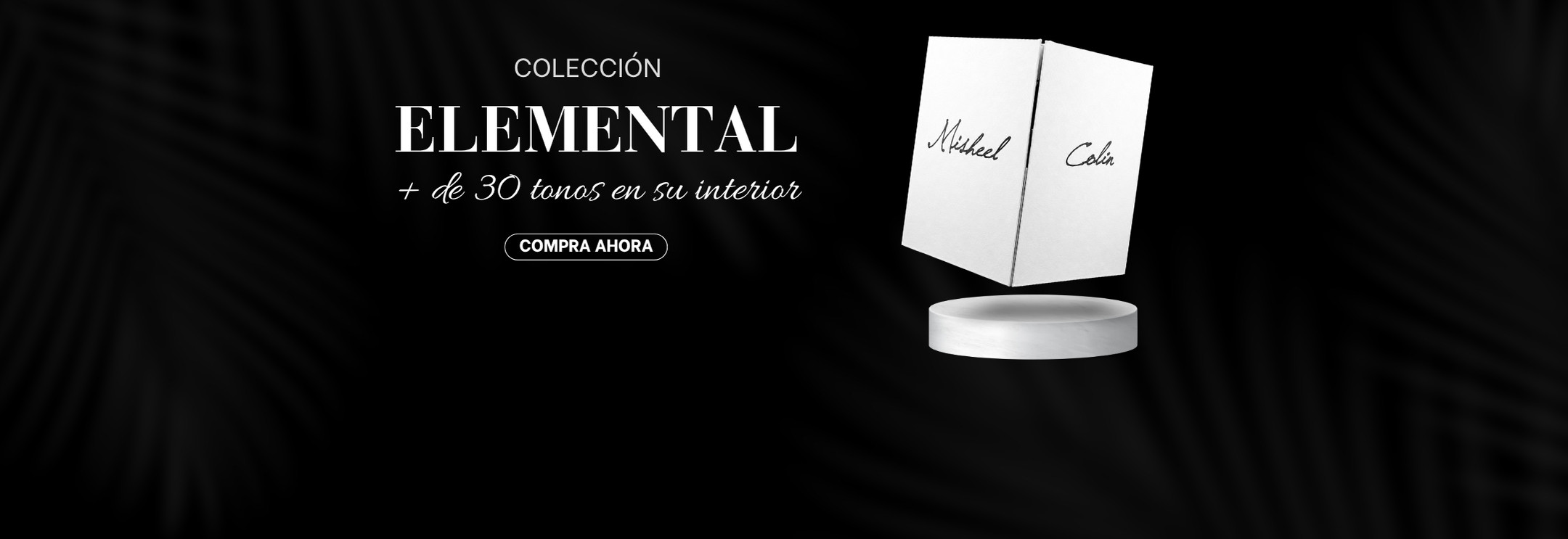 Presentación Misheel Colin 4